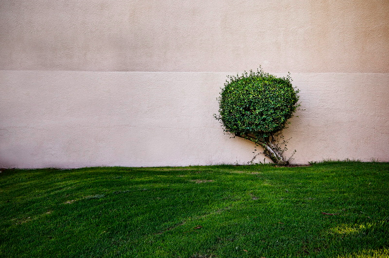 © Jeff Seltzer