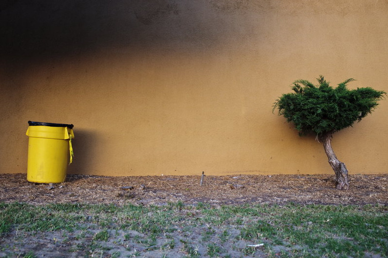 © Jeff Seltzer