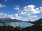 IMG_1264 IMG_1264