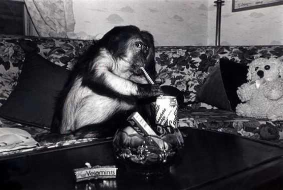 © Robin Schwartz © Robin Schwartz