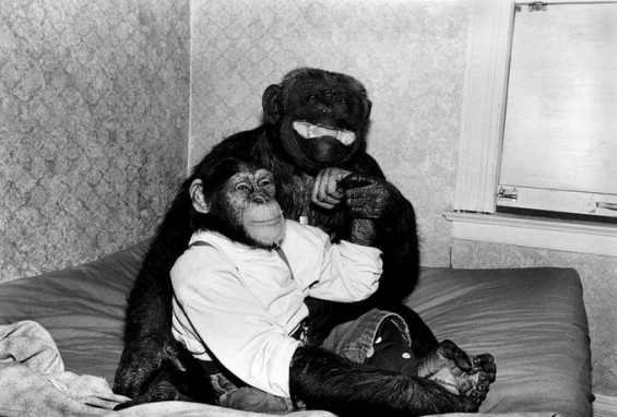 © Robin Schwartz © Robin Schwartz