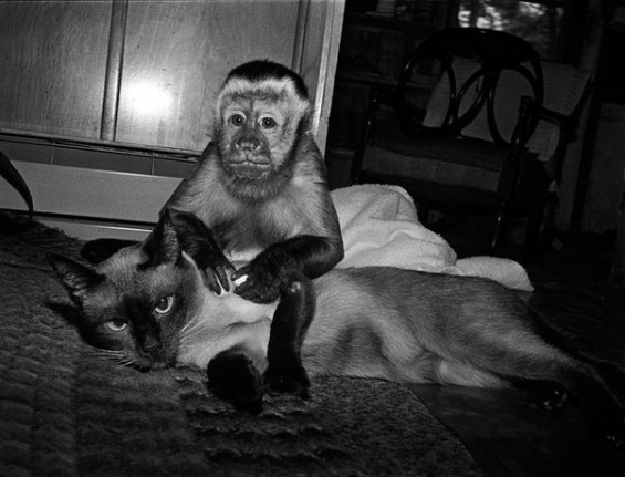 © Robin Schwartz © Robin Schwartz