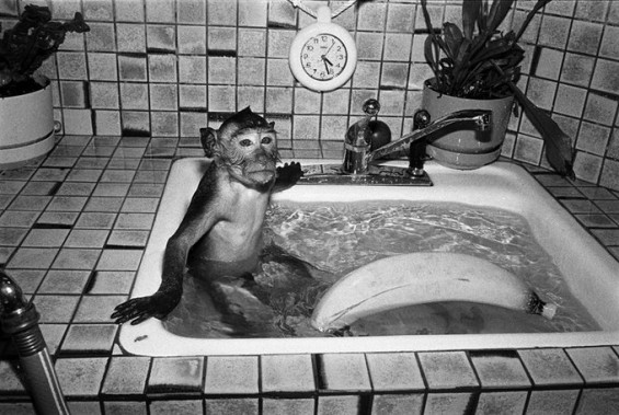 © Robin Schwartz © Robin Schwartz