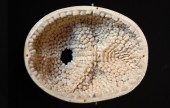 Jessica Harrison: Kunst aus körperlichen Elementen