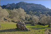 Mallorca: Serra de Tramuntana – Das schönste Gesicht der Insel