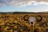 Südafrika: Einmal durch die Wüste, bitte.