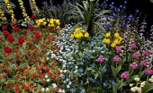 Camera Garden: Floristische Kunst von André Feliciano