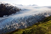 Navid Baraty: Alaska