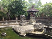 Weltling auf Bali: Balinesische Hupkonzerte und angriffslustige Affen