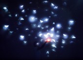 Takahiro Matsuo_Phantasm
