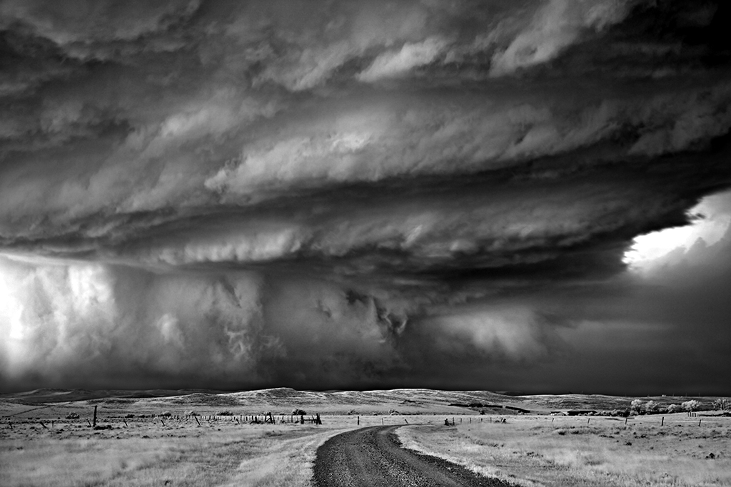 Mitch Dobrowner_Bears Claw