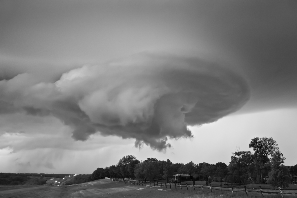 Mitch Dobrowner_Starship