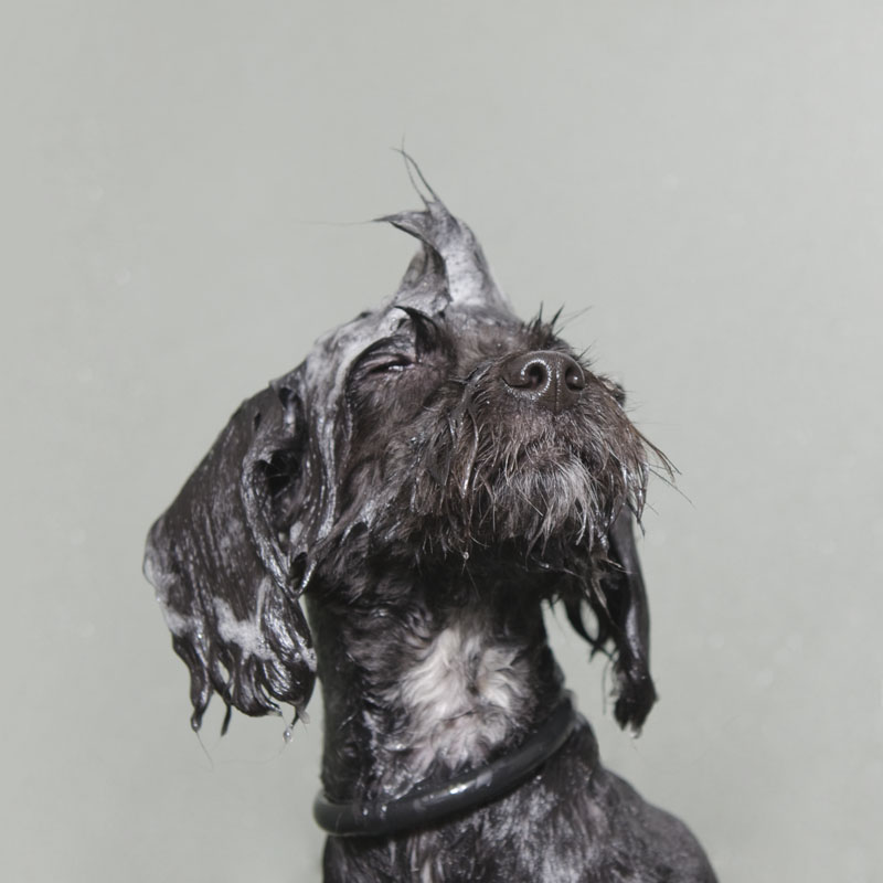 coco2