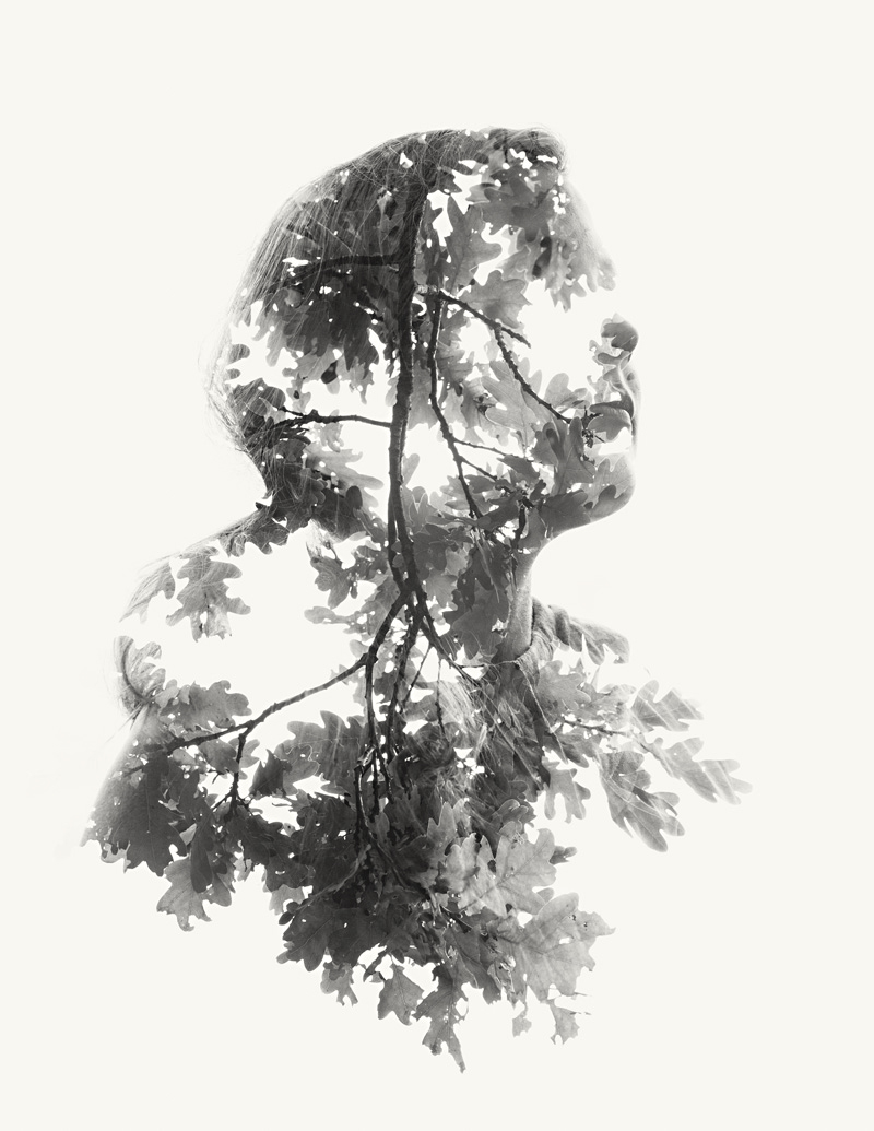 thereze800px