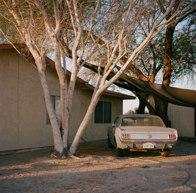 Tim Ronca California Squares-4